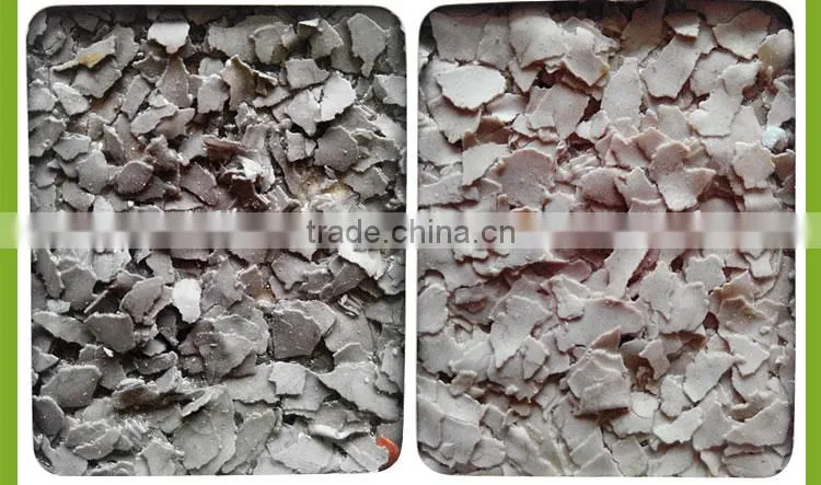 Fast drying flake paint for building coating