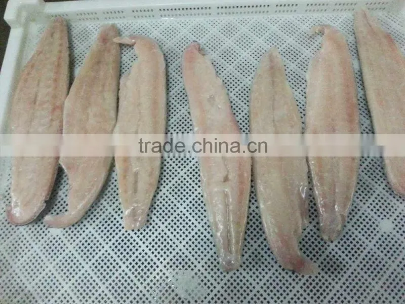 2016 high quality of New coming Frozen Mihi Mhi fillet for sale