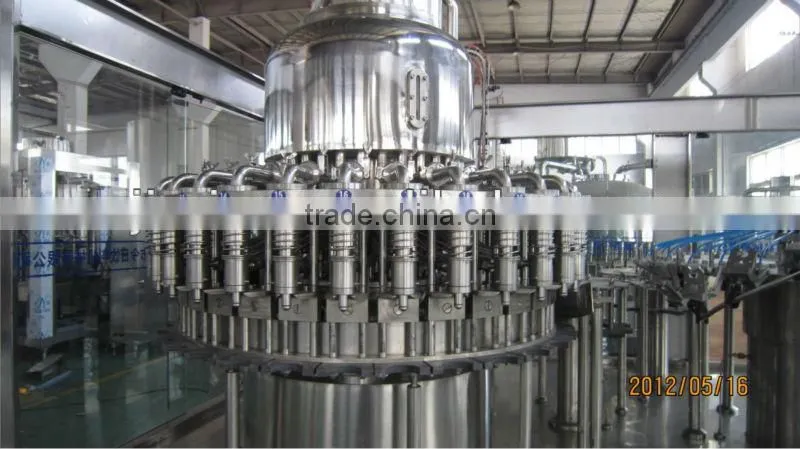 RCGF series tomato juice making machine