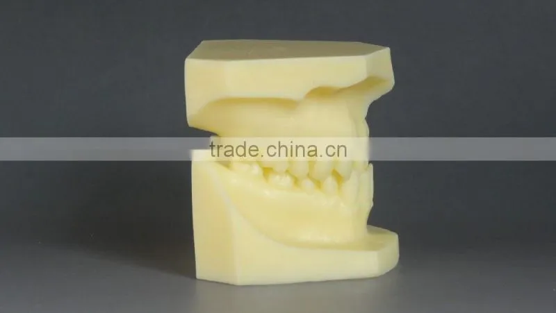 Malocclusion Classification Demonstration Model 2