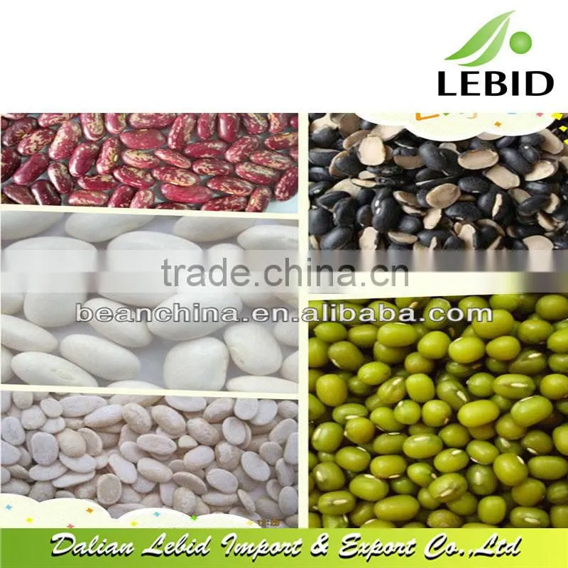 New Crop Large White Kidney Beans/Bean food