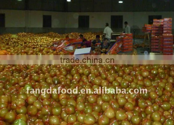 fresh china pomelo