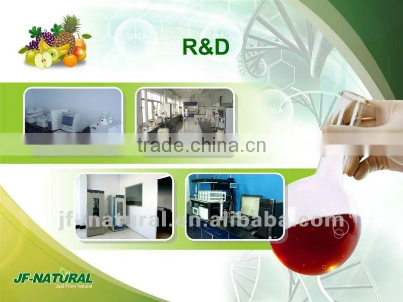 food grade raspberry powder manufacture ISO, GMP, HACCP, KOSHER, HALAL certificated