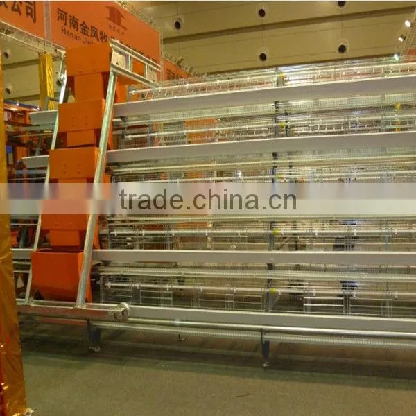 layer chicken poultry house
