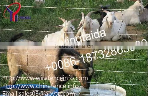 Wire Mesh Fence/cattle,Horse,Sheep,Chicken Grassland Fence/pig Farming Equipmen