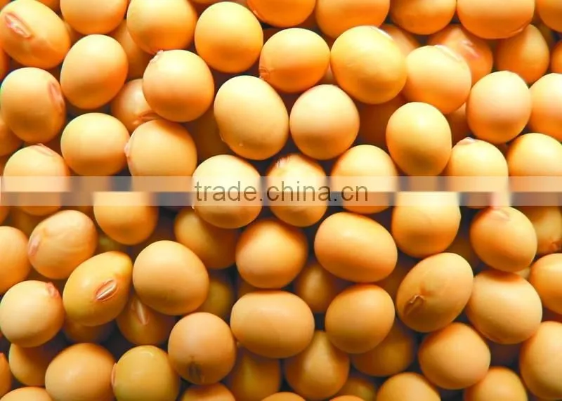 soyabean meal