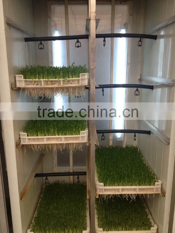 Best selling Factory Directly Bud Seeding Wheat Growing Machine For Wheat Bud Growing