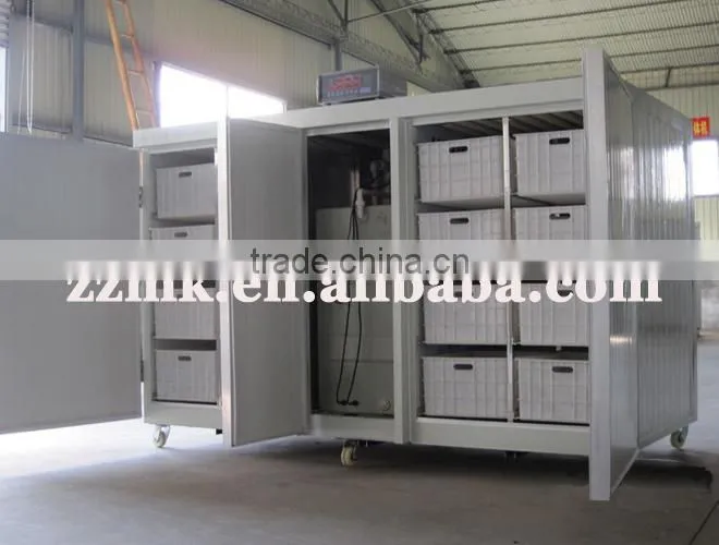 Newly China made automatic bean sprout machine