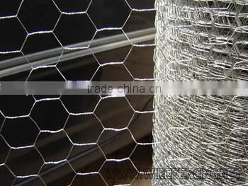 Hot sales twist hexagonal wire meshes