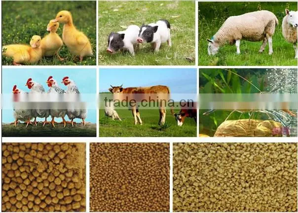 High Quality HZCK700S Series Vertical Ring Die Poultry Feed Pellet Making Machine