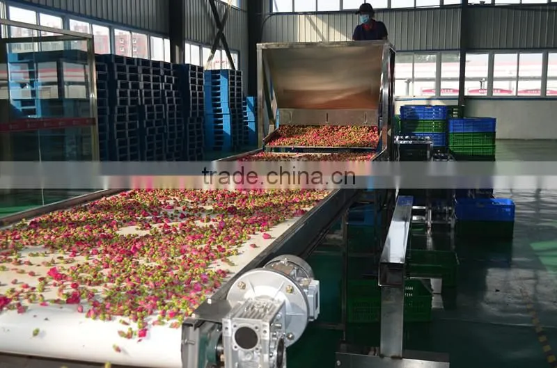 Mesh machine Type and New Condition Mesh Belt Dryer