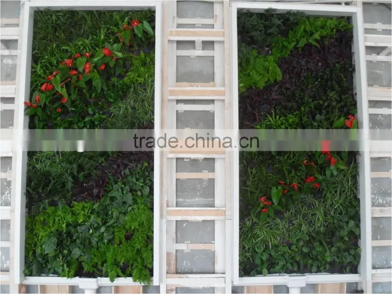 subtropical plant wall factory UV-proof china flor artificial