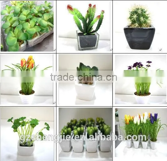 2016 MINI cute artificial succulent plants for artificial green wall decoration