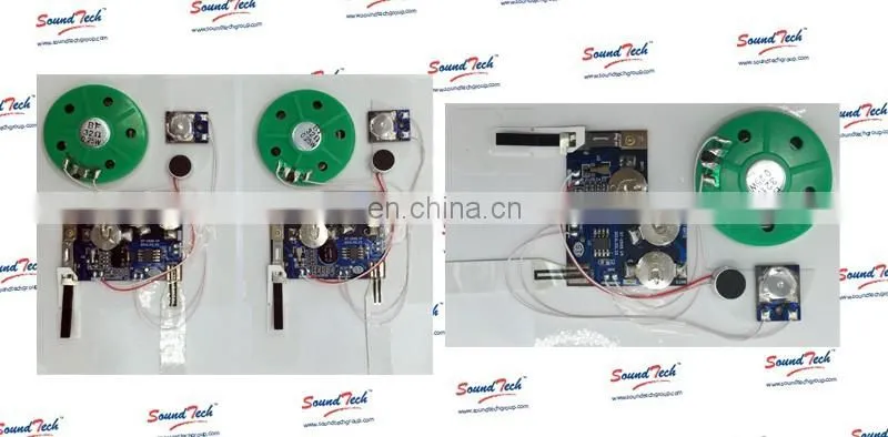 Greeting card voice recording module