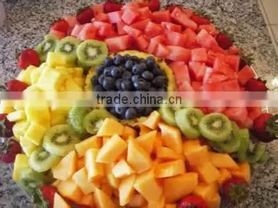 Home-using mini Food Dehydrator 4 trays