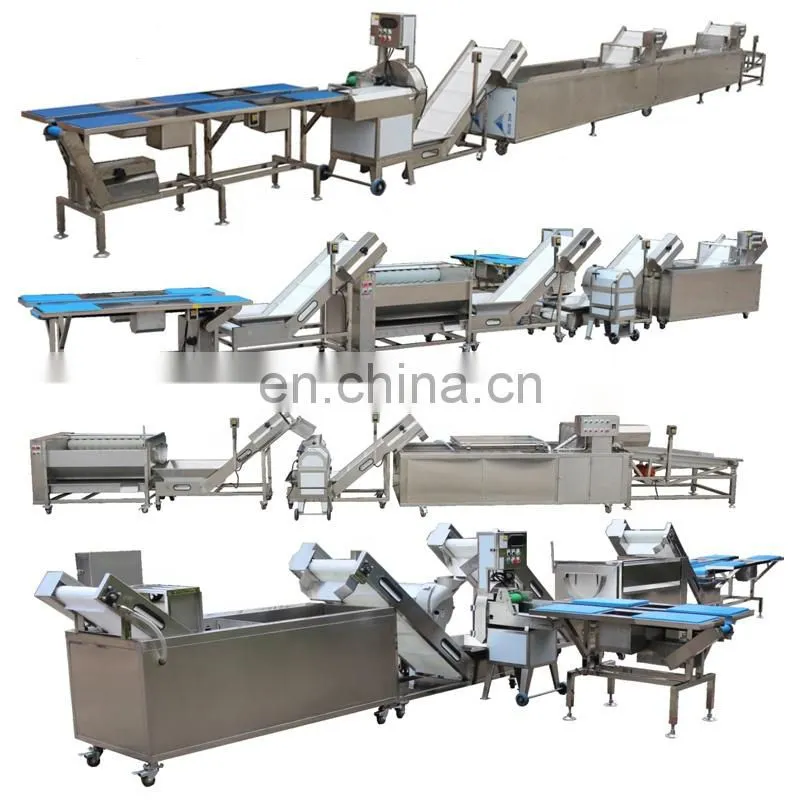 stainless steel apple/pear/mango/fruit/vegetable washing/cleaning/processing machine/equipment