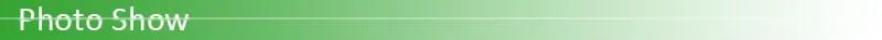 24W 36W E27 Led Plant Grow Light Hydroponic Full Spectrum Grow Lamp Bulb