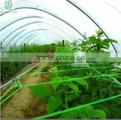 Best quality plant support netting