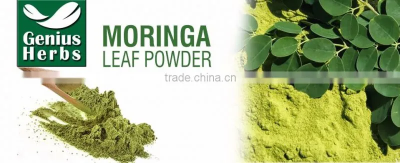 Food Supplements Moringa Leaf Powder Manufacturer From India