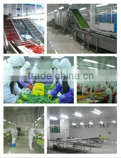 Mixed IQF frozen vegetable and fruit with HACCP BRC certificate