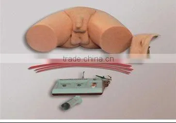 Electro-model for the teaching of urethral catheterization and coloclysis