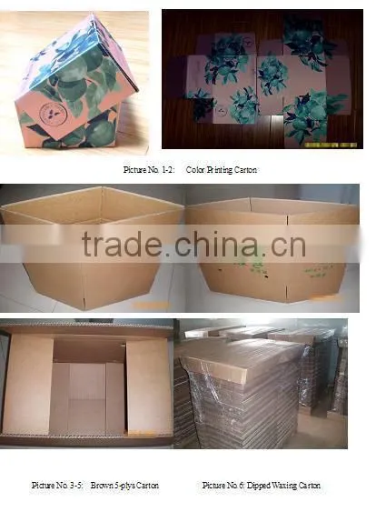Waxed Vegetable Corrugated Box