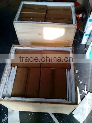 graphite vane