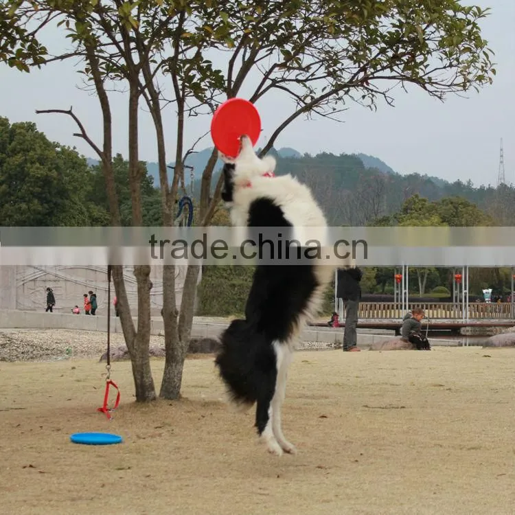 PE Soft ultimate frisbee 27.5cm 11 inch 10.5' 10' 9' 23cm