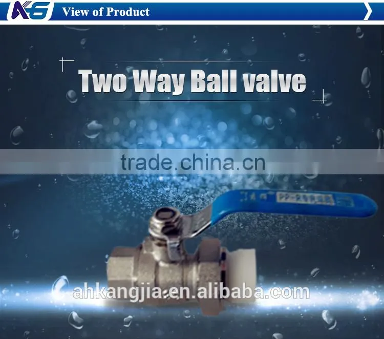 popular Stainless steel Threaded Two Way Body Ball Valves