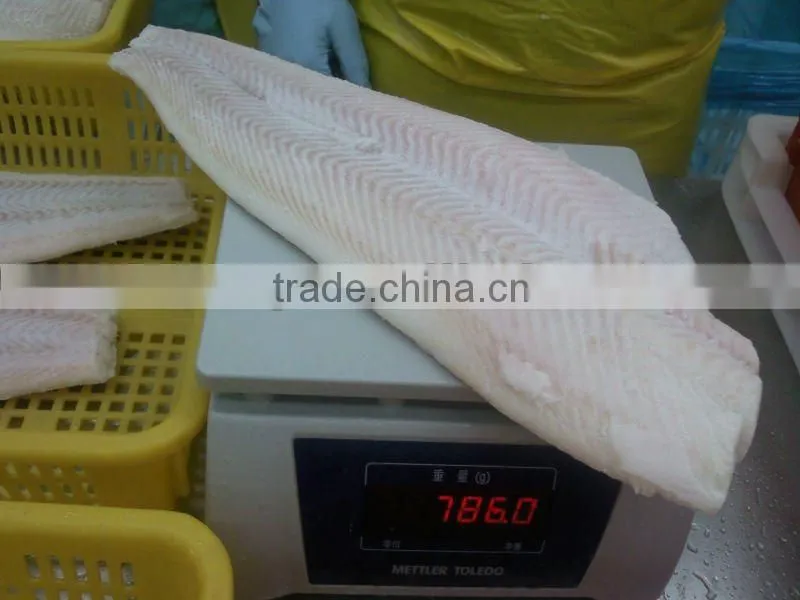 frozen pacific and Greenland halibut fillet