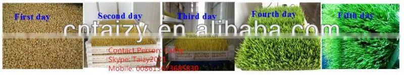 Green bean sprout making machine/machinery/maker