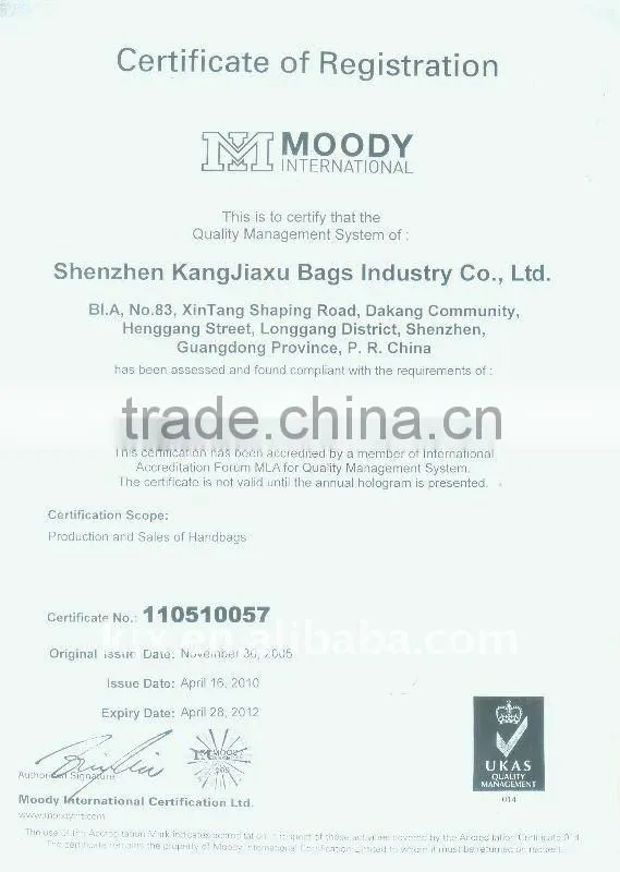 Simple Metal Quilting PU Fashion Hang Bag