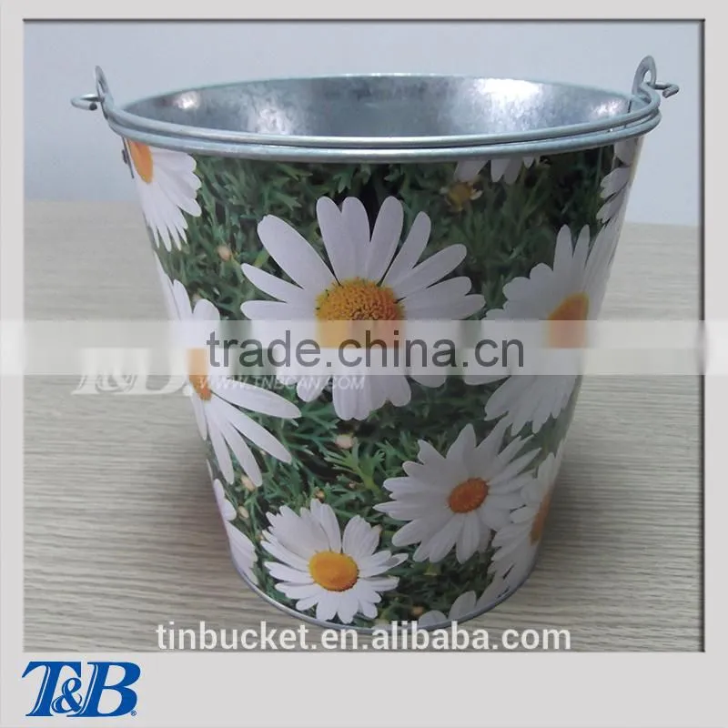 beautiful gardening tin pail