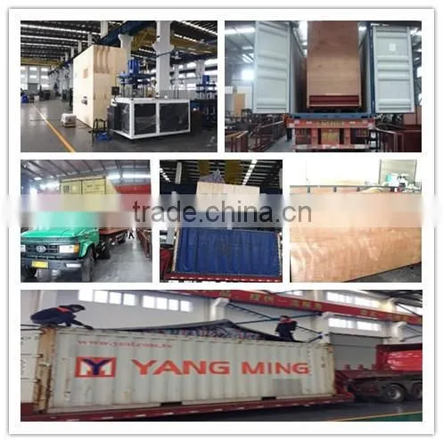 2016 New Design /Die customized hydraulic tablet press machine