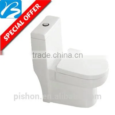 European Standard washdown two piece toilet