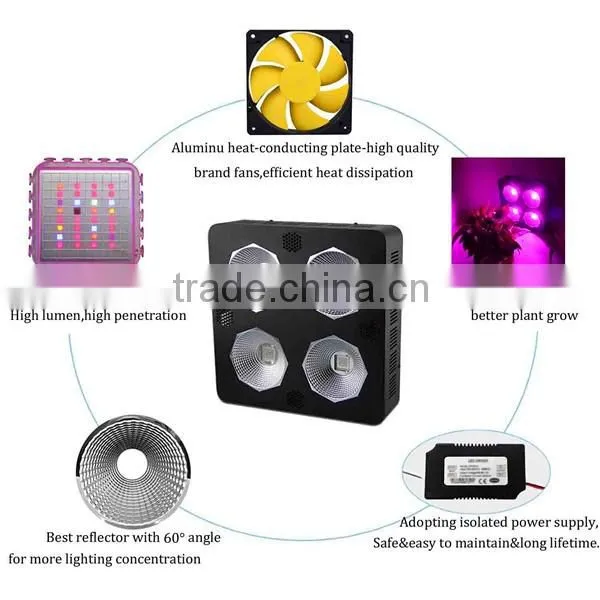 Full spectrum cob led plant growth light 300w 400w 800w battery operated led plant indoor light