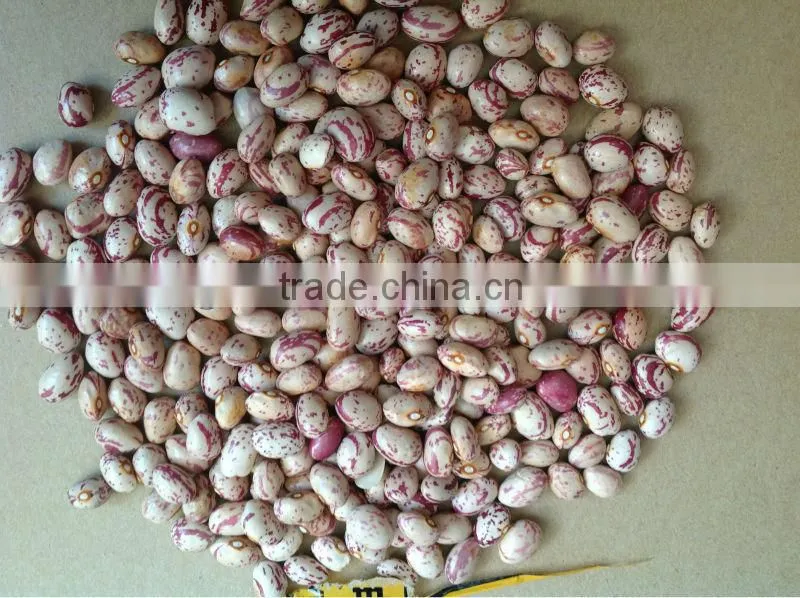 chinese Beans 2014 new crop;