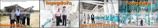 Product process corn mill maize flour making machine for sale