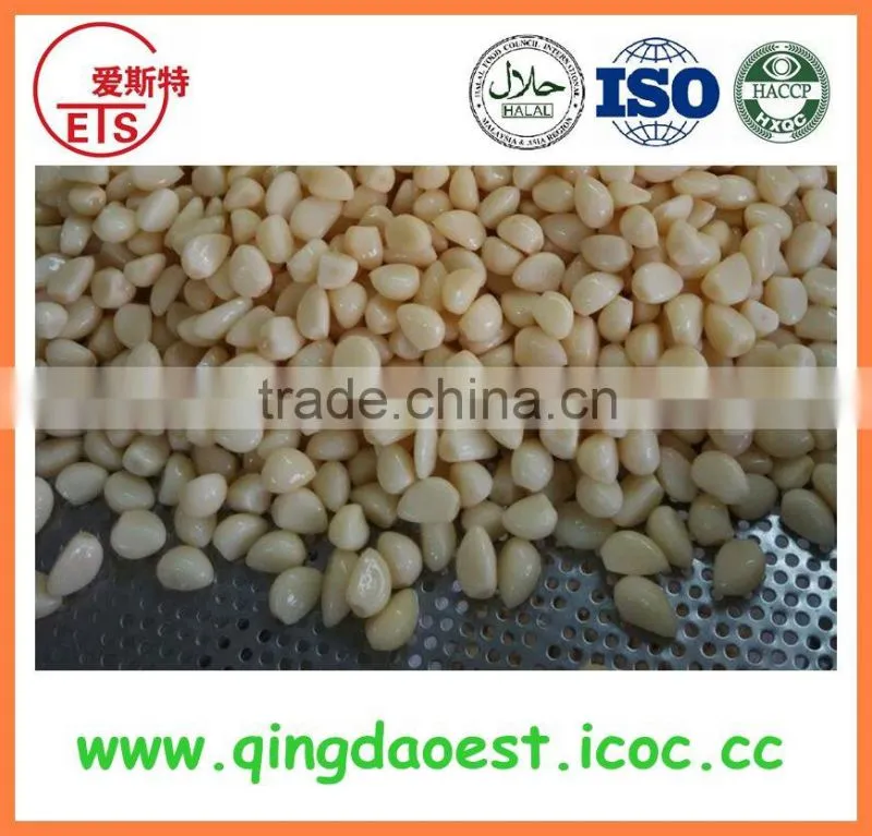 Supply all kinds of sizes fresh garlic