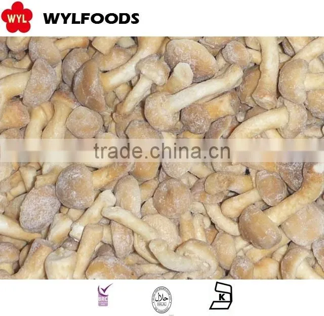Good price frozen baby oyster mushroom 2016 with Grade A