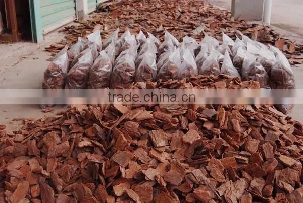 Ornaments Type organic mulch