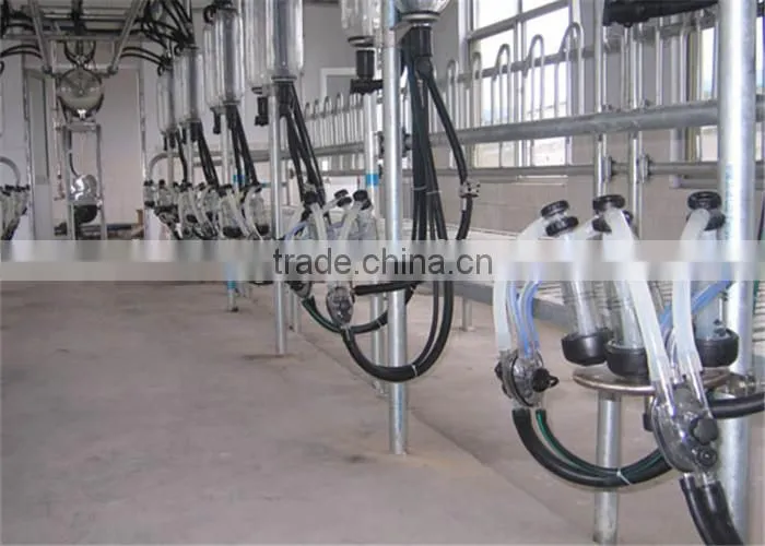 Farm Milking Parlour Plant for Goats and Sheep