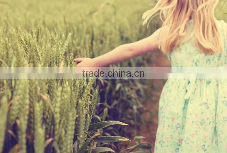 Amino Acid Chelate Raw Material Manufacturer/amino acid soluble fertilizer