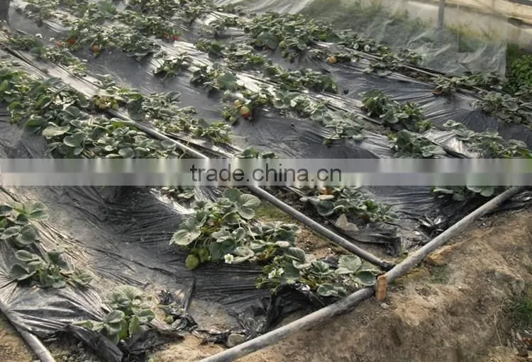 irrigation system Plastic round emitter drip tape