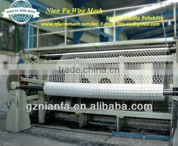 chicken netting (Factoryof Guangzhou)