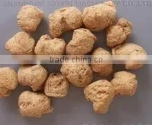 textured soya protein / soya nuggets /soya protein / protein bar machine