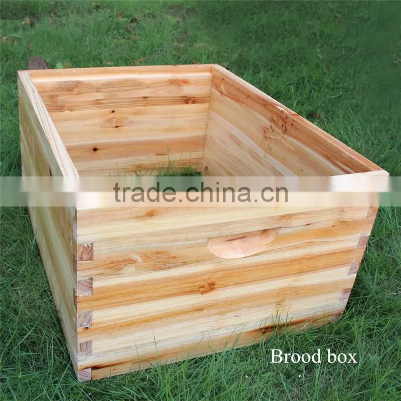 2016 New design honey automatic flow bee hive kit