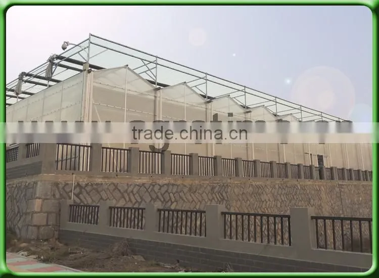 Venlo Greenhouse PC Sheet glass covering hot sale greenhouse/glass greenhouse