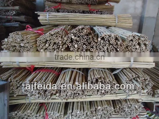 FD26Straight raw bamboo poles for construction & building materials