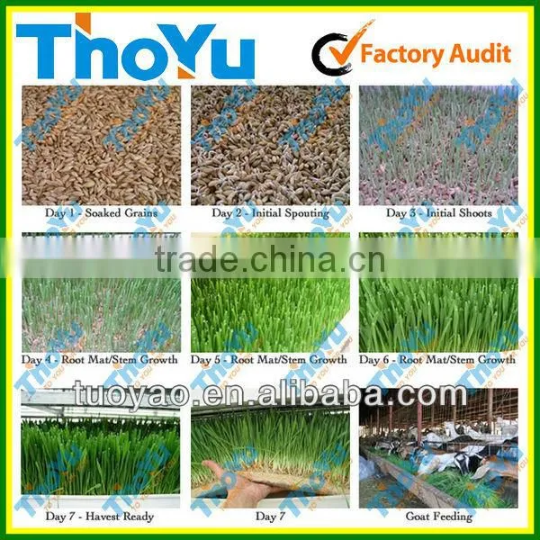 THOYU Brand Salable Germinator For Chicken with Best Price(Mob:+86-15903675071)